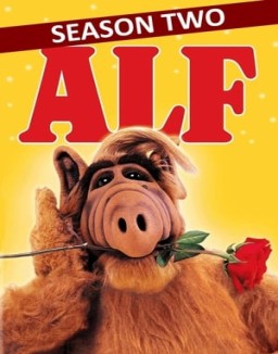 ALF stream