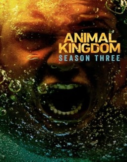 Animal Kingdom temporada  3 online