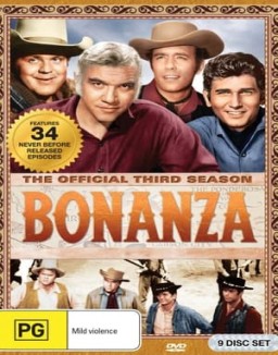 Bonanza T3