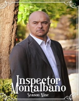 Comisario Montalbano temporada  9 online