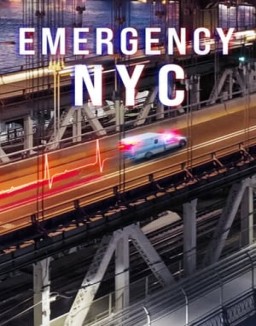 Emergencias: Nueva York