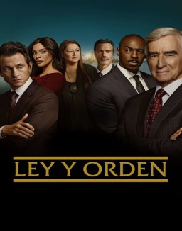 Ley y orden (1990) (Law & Order) T23