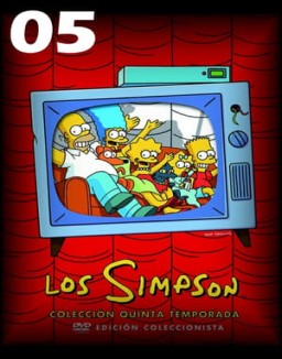 Los Simpson T5