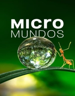 Micromundos temporada  1 online