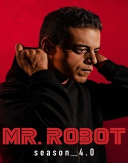 Mr. Robot T4