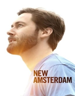 New Amsterdam stream