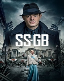 SS-GB stream