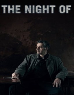 The Night Of online gratis