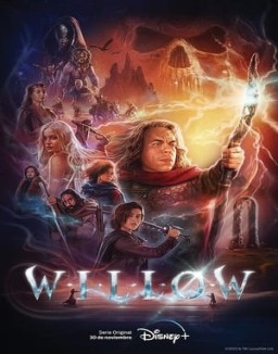 Willow T1